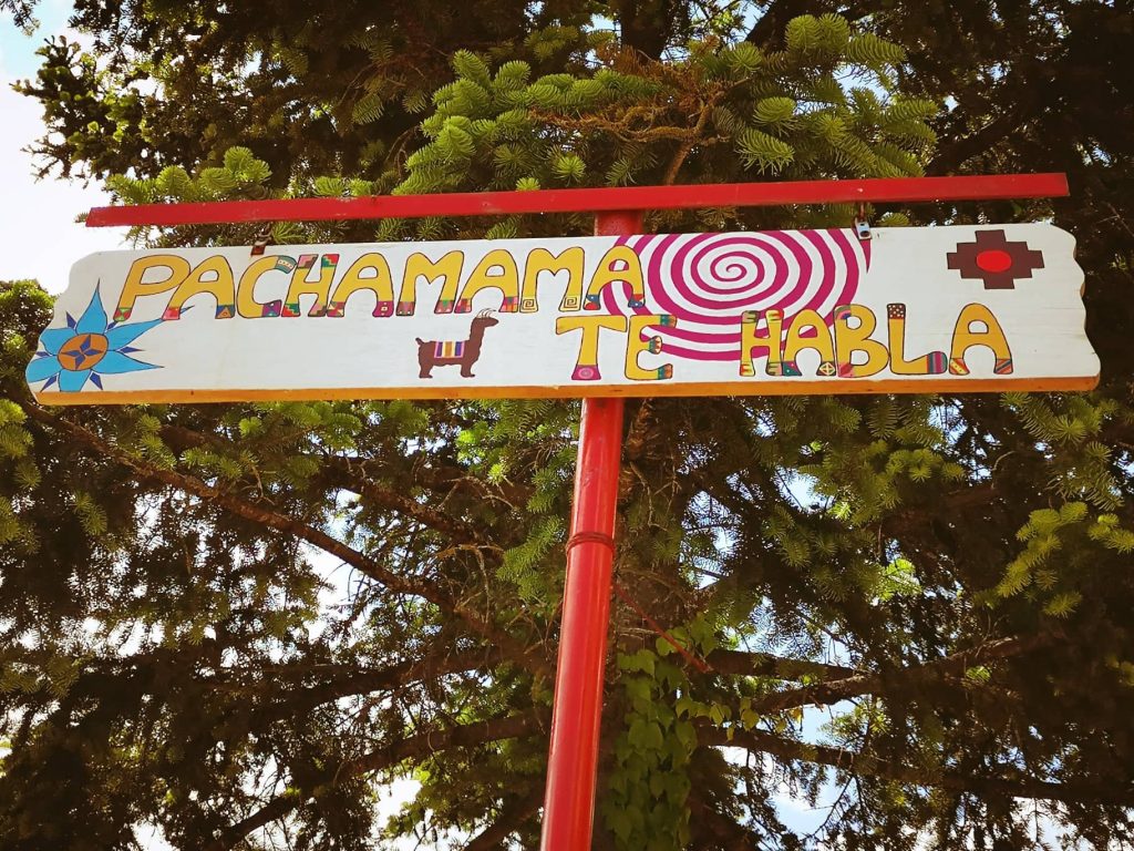 60889515_816468465419501_5356058538642767872_n